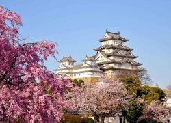 Что посмотреть туристам в Японии?