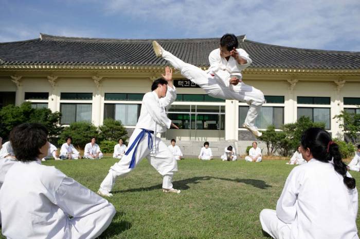 боевые искусства кореи