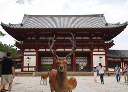 Загадочная Нара и древние будийские храмы Японии